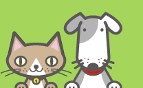 ���E�`����D���I