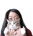 �V�b�^�[�Љ�