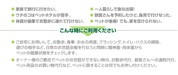 ����Ȏ��ɂ����p���������B